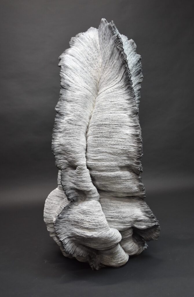 Realm of Living Things 24 (2025)