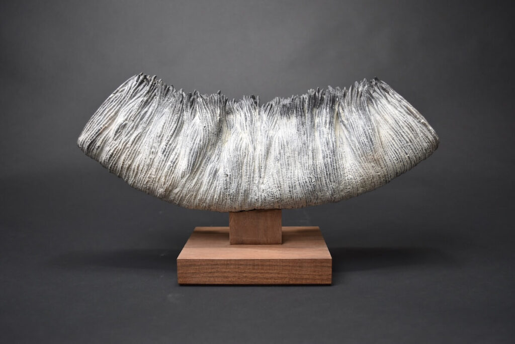 Realm of Living Things 12 (2022)