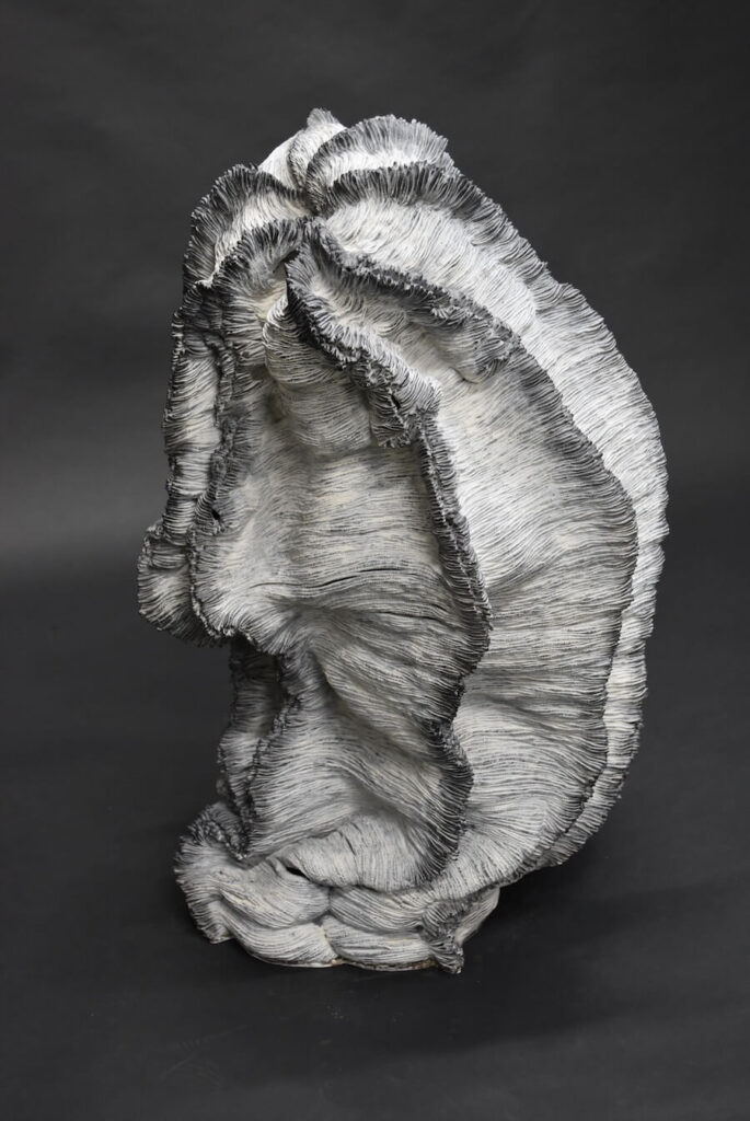 Realm of Living Things 18 (2023)