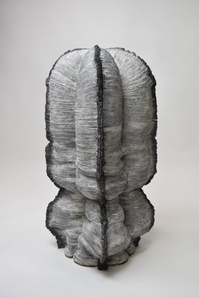 Realm of Living Things 19 (2024)