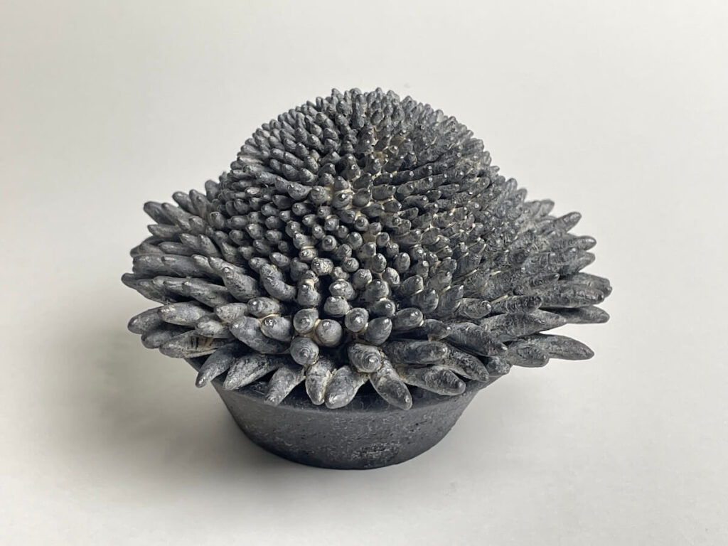 Realm of Living Things 20 (2024)