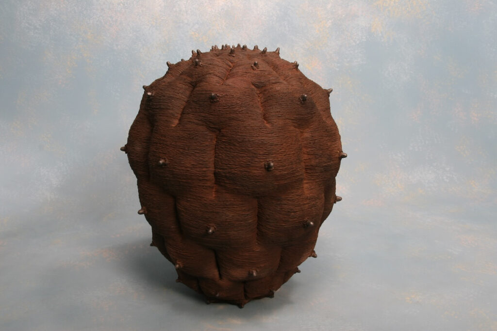 Soils Harvest summer  2013 (2013)