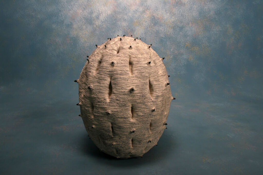 Soils Harvest  2013 (2013)