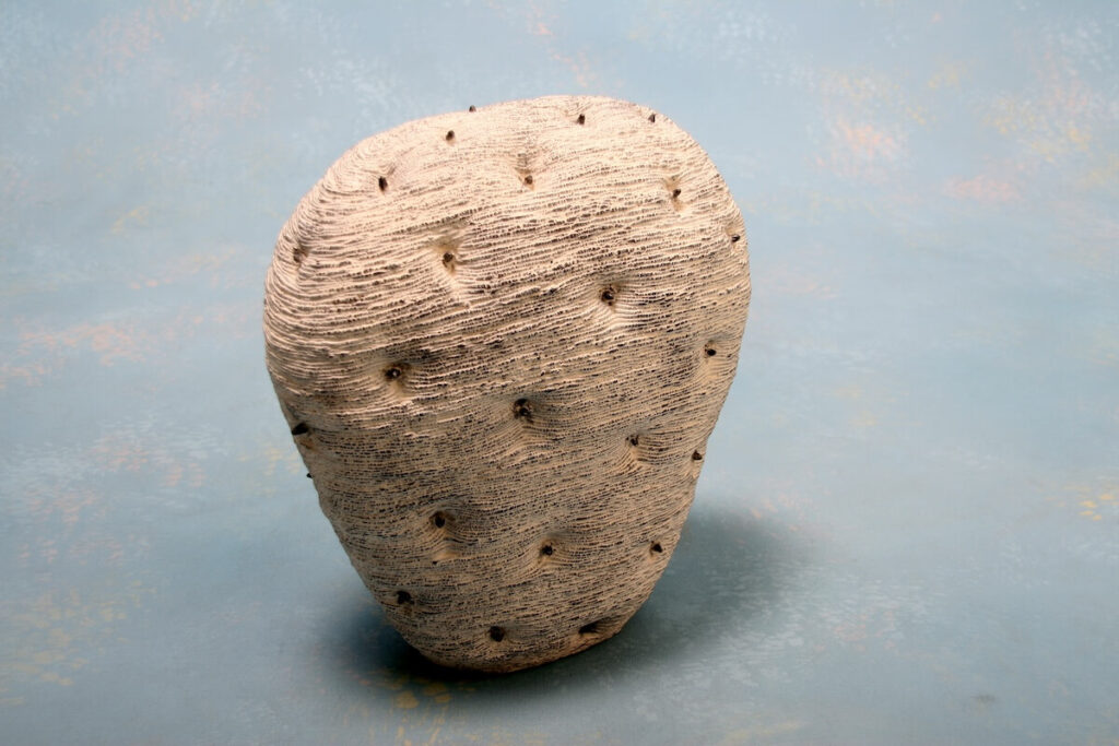 Soils Harvest ～2013 spring (2013)