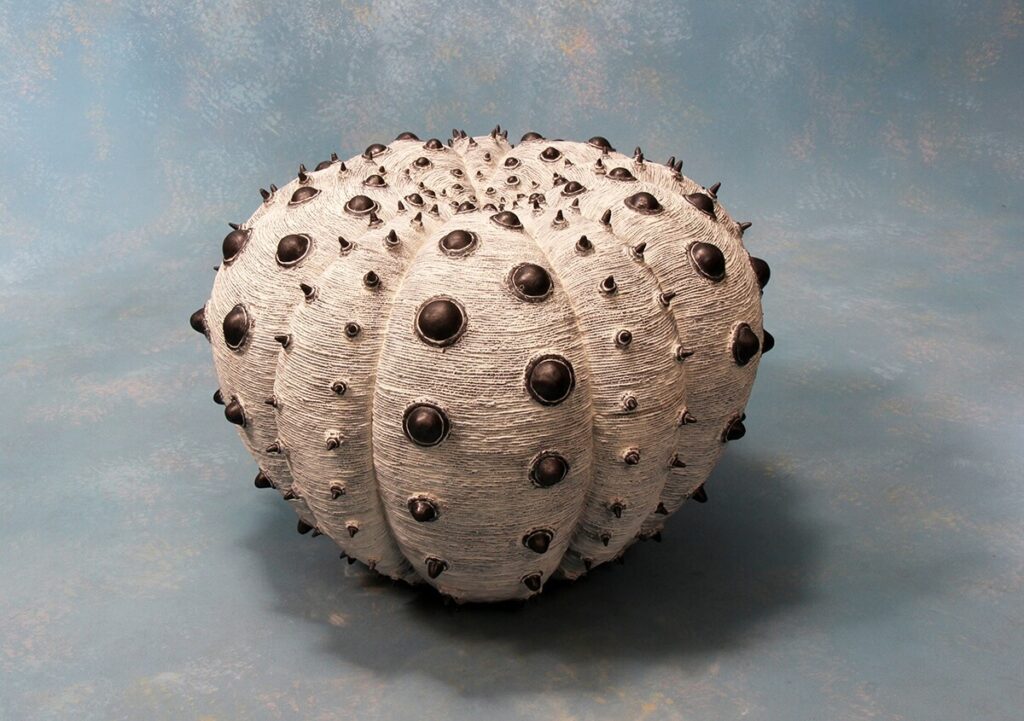 Soils Harvest  ～2016  spring (2016)