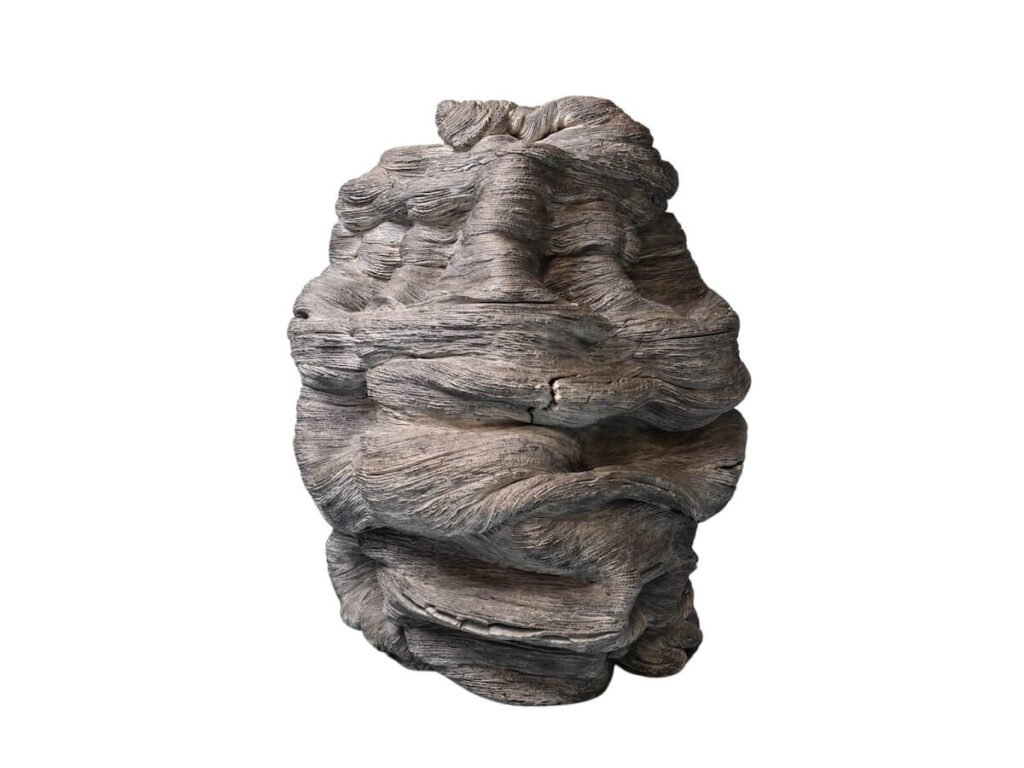 Thunderhead Monk (2022)